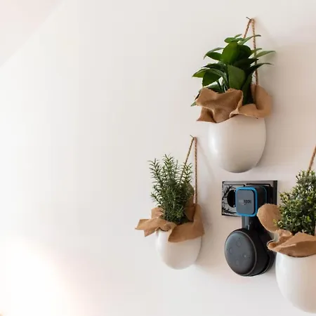 54 Grad Nord App 8 Haffkrug